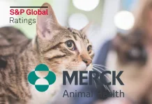 默沙東動物健康勇奪 S&P Global 2024 年度最佳寵物健康產品大獎