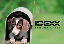 IDEXX 推出犬隻癌症早期篩檢技術，15 美元即可篩檢犬類淋巴瘤！