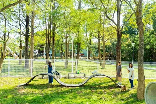 燕巢南燕公園讓飼主和毛孩都能擁有快樂的遊憩空間