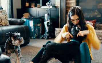 狗狗關節炎新舊藥物比較：bedinvetmab 與傳統NSAID藥物meloxicam誰更勝一籌？