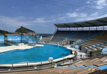 新北市推動野柳海洋世界轉型海洋保育教育場域，連三日門票半價吸引市民參與