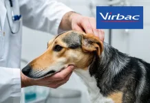 無抗生素也能治外耳炎？Virbac顛覆獸醫傳統療法，亞洲首發登場！