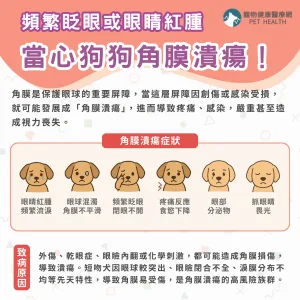 狗狗角膜潰瘍症狀有哪些？