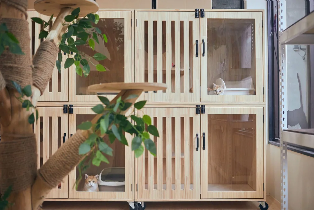 猴硐貓公所認養小棧（圖片來源：新北市政府動保處）