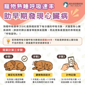 計算寵物熟睡呼吸速率，助早期發現心臟病