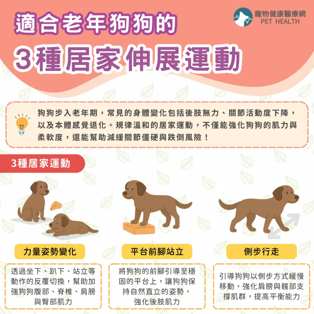 適合老年狗狗的3種居家伸展運動