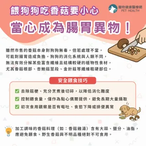 餵狗狗吃香菇要小心，當心成為腸胃異物