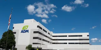 ADM研究顯示後生元菌株CECT 8145可助犬隻調節血糖，代謝健康創新受矚目