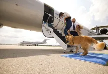 狗狗才是VIP！BARK Air首創寵物航空一周年，啟動包機服務搶攻高端旅遊市場