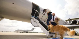狗狗才是VIP！BARK Air首創寵物航空一周年，啟動包機服務搶攻高端旅遊市場