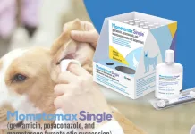 Merck動物保健推出MOMETAMAX SINGLE，顛覆犬隻外耳炎治療慣例