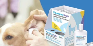 Merck動物保健推出MOMETAMAX SINGLE，顛覆犬隻外耳炎治療慣例