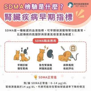 SDMA檢驗是什麼？