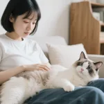 貓咪呼嚕聲代表什麼？原來貓咪不是只有開心才呼嚕！5種情境解密！