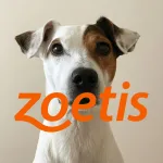 動物保健龍頭Zoetis公布2025年Q1財報：穩健成長，惟畜產業務承壓
