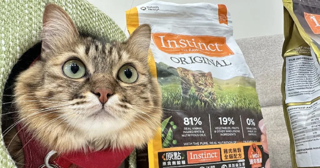 南台灣的飼主正逐漸從「重量取向」轉向講究營養成分與適口性的寵糧新觀念，追求「吃得好」，讓毛孩吃出健康與活力。（上聯國際展覽提供）