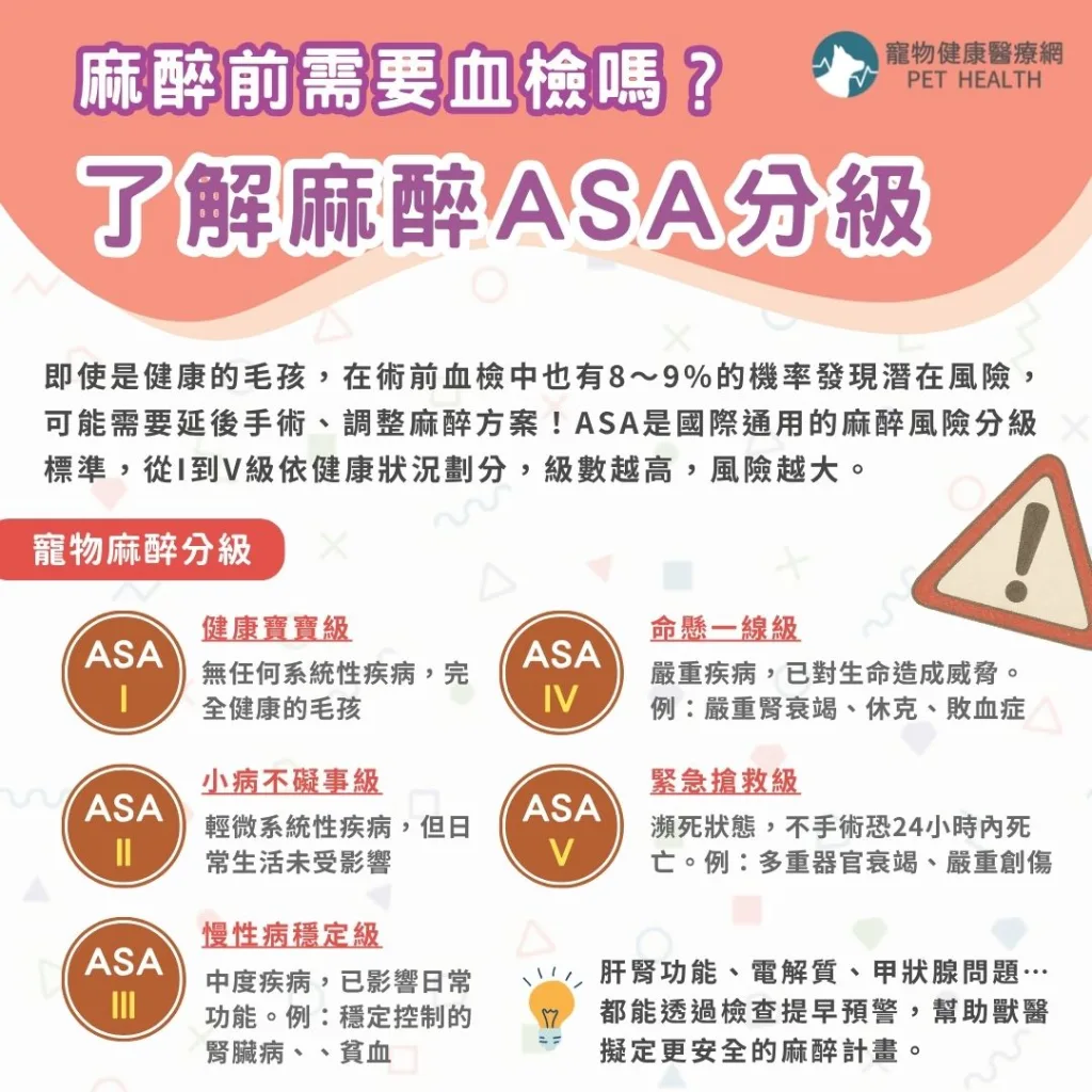 寵物麻醉前需要血檢嗎？