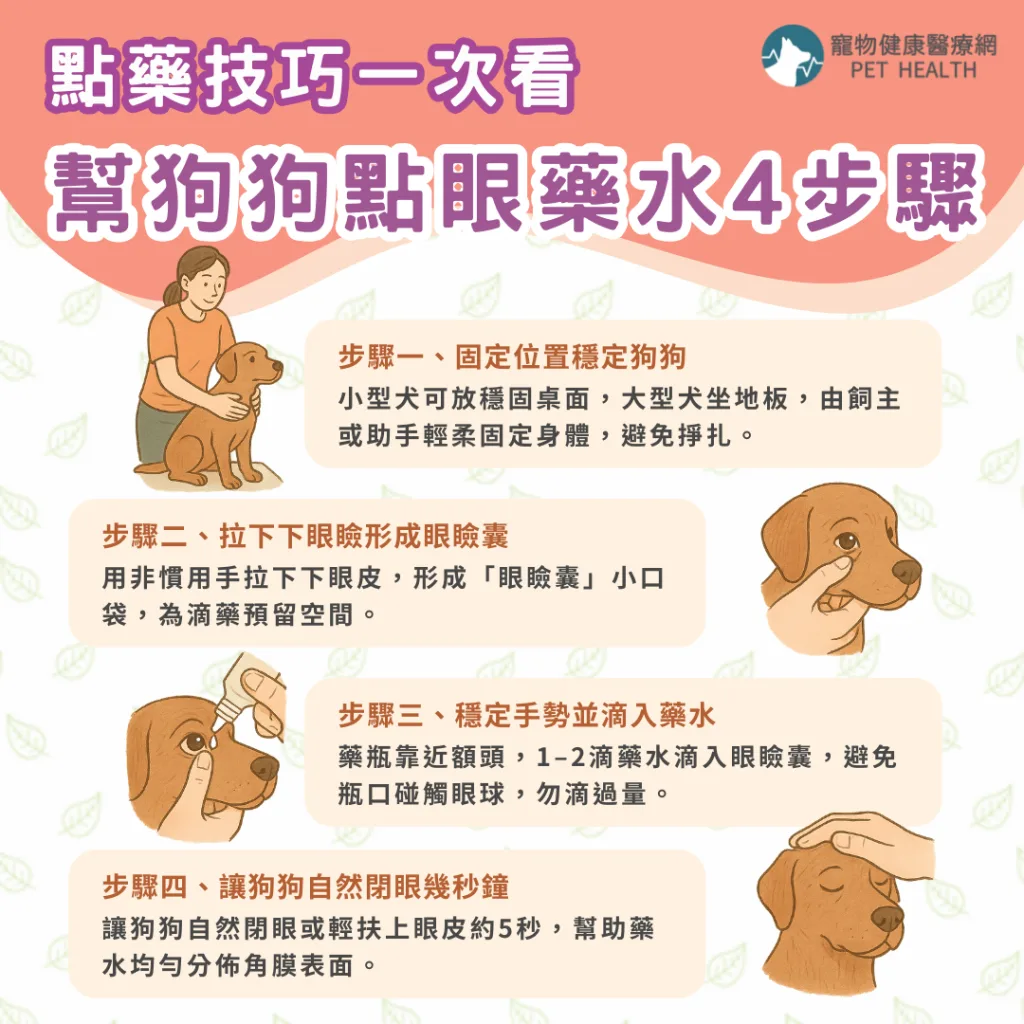 幫狗狗點眼藥水4步驟