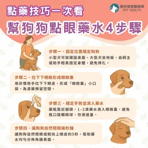 幫狗狗點眼藥水4步驟