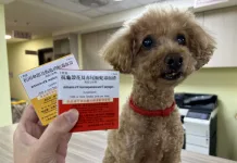 毛寶貝遭蛇吻 新北動保處抗蛇毒血清急救援