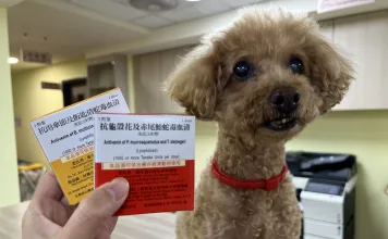 毛寶貝遭蛇咬!新北動保處火速調血清救回一命 毛寶貝遭蛇吻 新北動保處抗蛇毒血清急救援