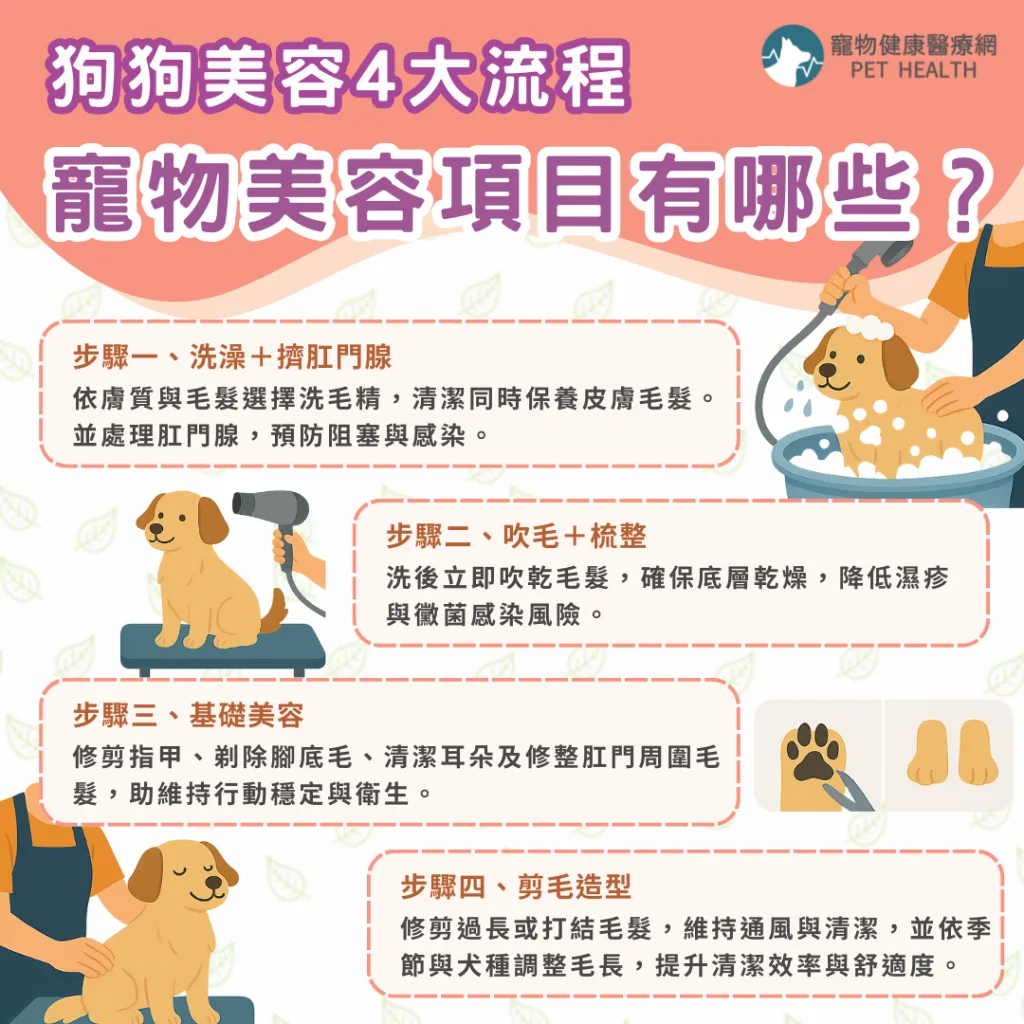 狗狗美容4大流程