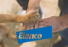 禮藍動保Elanco健轉型初現成果，財報略優預期但結構隱憂仍存