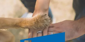 禮藍動保Elanco健轉型初現成果，財報略優預期但結構隱憂仍存