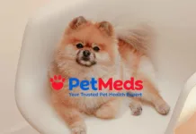 鎖定美國寵物健康市場空缺，PetMeds 攜手 Dutch 推出遠距獸醫照護方案