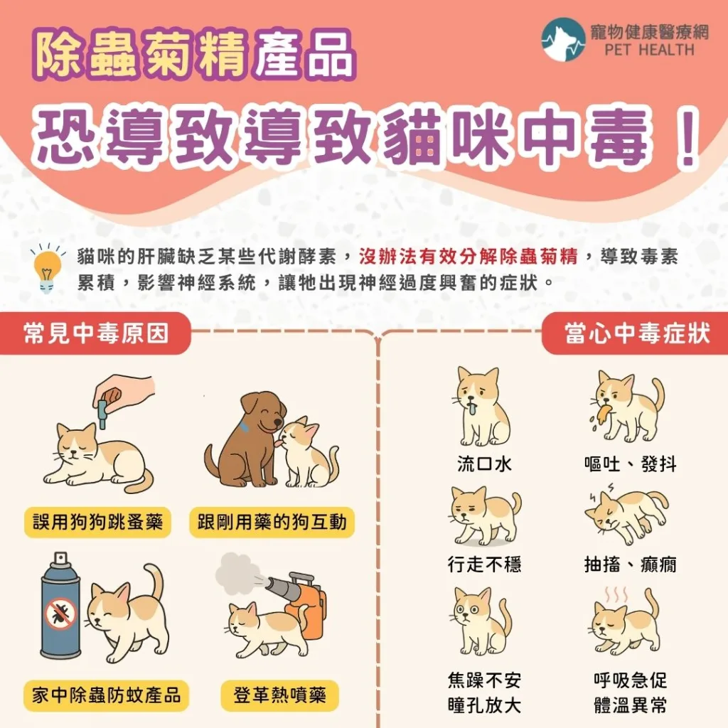 除蟲菊精產品恐導致導致貓咪中毒！