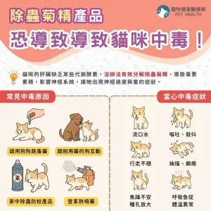 除蟲菊精產品恐導致導致貓咪中毒！