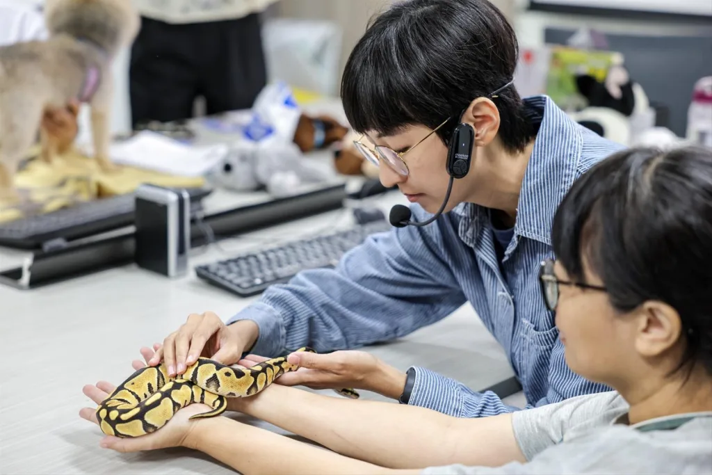 帶毛孩進辦公室!人寵暖心共學營,助您「加薪」7萬英鎊(圖片來源:高雄市動保處)