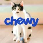 Chewy財報亮眼卻遭股價重挫，投資人是否過度樂觀？
