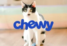 Chewy財報亮眼卻遭股價重挫，投資人是否過度樂觀？