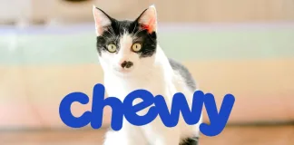 Chewy財報亮眼卻遭股價重挫，投資人是否過度樂觀？