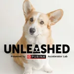 Purina啟動2026年度「Unleashed創新加速計畫」，全球寵物科技新創招募中
