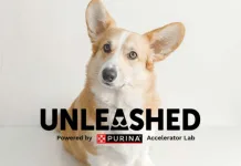 Purina啟動2026年度「Unleashed創新加速計畫」，全球寵物科技新創招募中