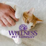 Wellness Pet Company 完成一億美元融資，強化創新投資與財務韌性