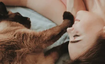 犬貓年紀大了免疫力變弱怎麼辦?4大方法延緩免疫老化 犬貓年紀大了免疫力變弱怎麼辦?4大方法延緩免疫老化