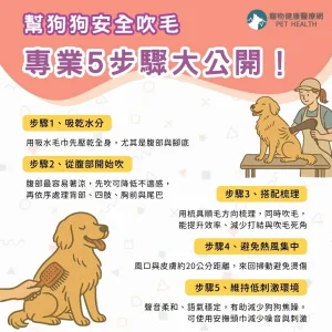 如何幫狗狗安全吹毛？專業5步驟大公開
