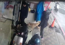 店家犬隻未繫繩，新北動保處依法開罰15,000元