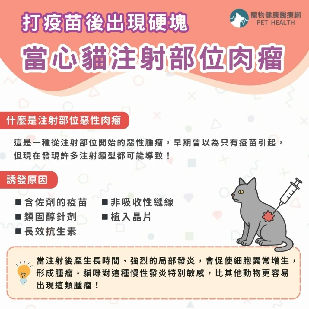 打疫苗後出現腫塊，當心貓注射部位肉瘤
