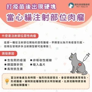 打疫苗後出現腫塊，當心貓注射部位肉瘤