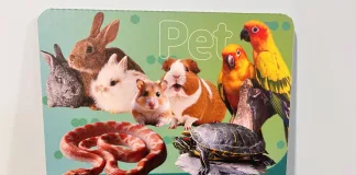 民眾可攜帶非犬貓動物至特殊寵物登記站辦理寵物登記（圖片來源：新北市動保處）