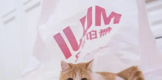 貓咪暫時性心肌肥厚症是什麼？暫時性心肌肥厚症與肥厚性心肌病有哪些不同？