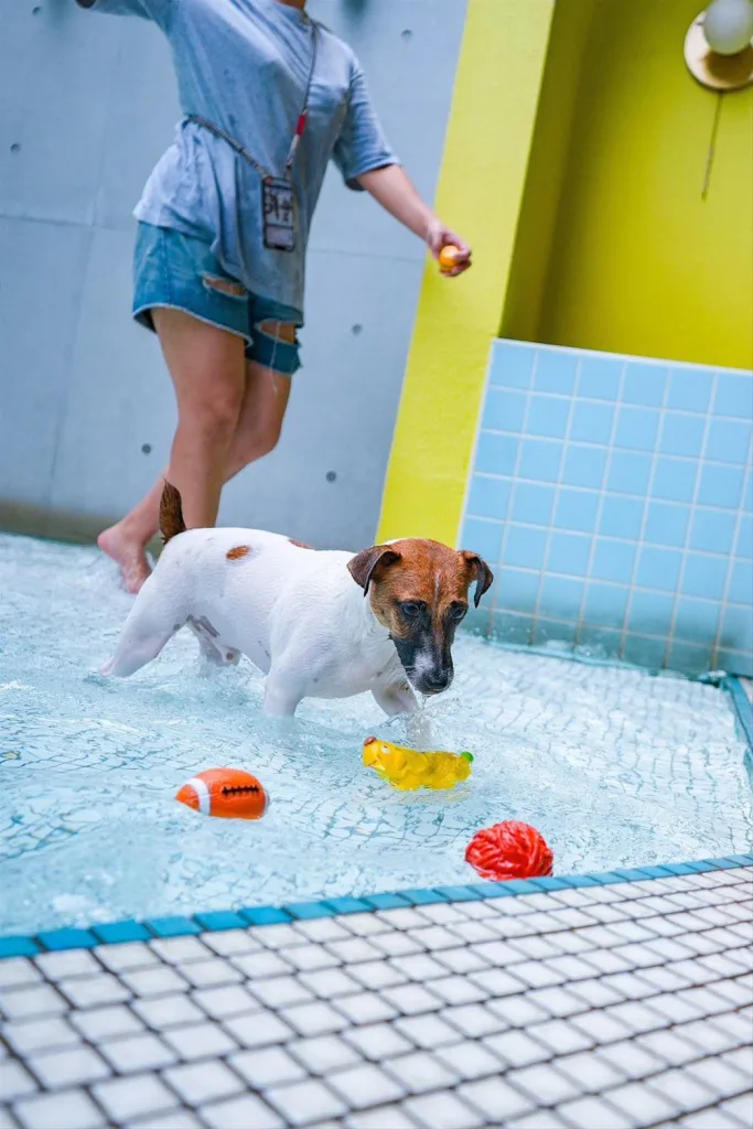 OutDog GoGo戶外急救技能認證課