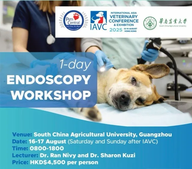 IAVC 2025 Endoscopy Workshop（圖片來源：IAVC 2025）