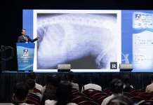 IAVC 2025 國際亞洲獸醫年會蓄勢待發！聚集全球專家、打造亞洲最具規模學術交流平台