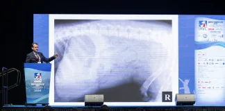 IAVC 2025 國際亞洲獸醫年會蓄勢待發！聚集全球專家、打造亞洲最具規模學術交流平台