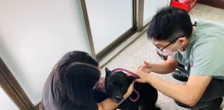 北市動保處攜手動保協會 7/26西門町舉辦《2025 不浪了！踩街義賣市集活動》